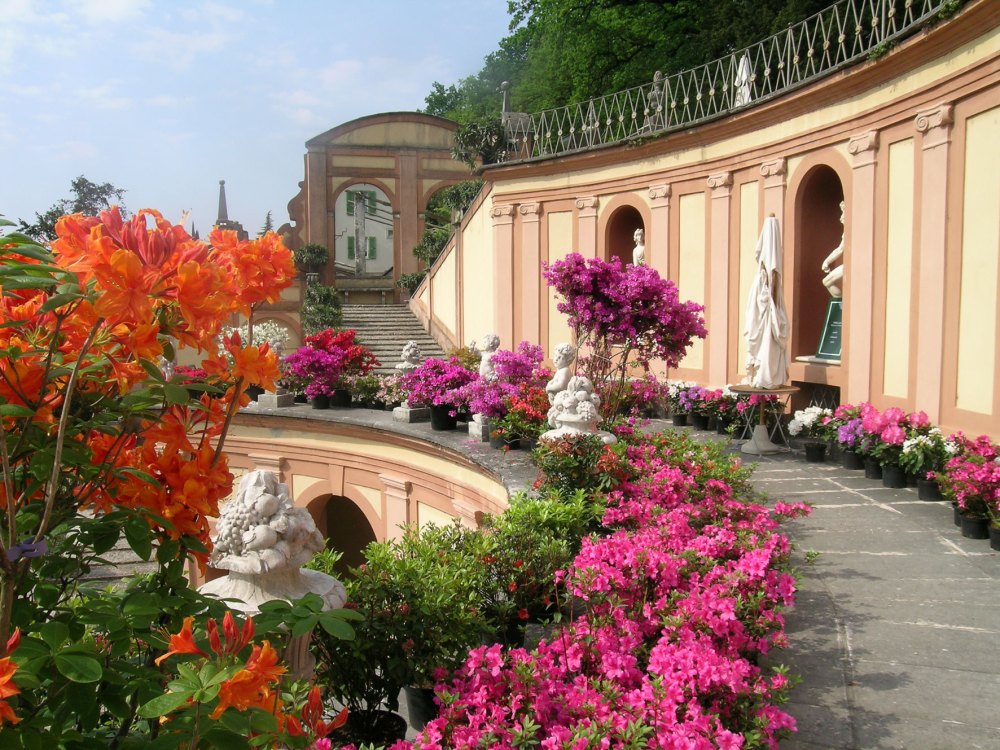 Il-Giardino-di-Dellizia-Fot