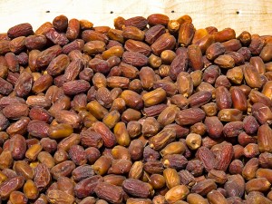 IMG_9349_Datteri_di_Bahariya_photo_Nikbarte