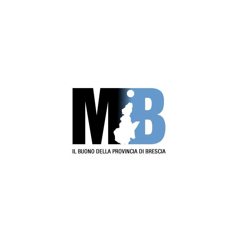 logo-mib