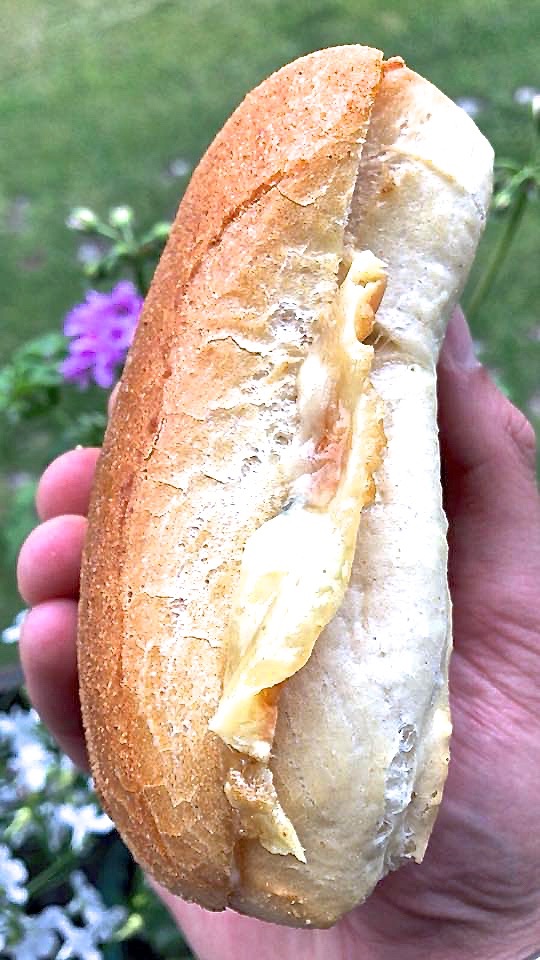 Silter Sandwich