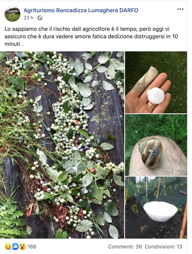 Schermata 2019-06-12 alle 18.47.17