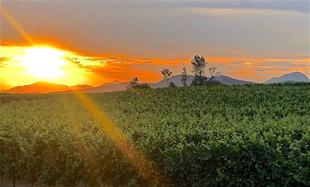 66045215_10157264128590502_1689741473999749120_o