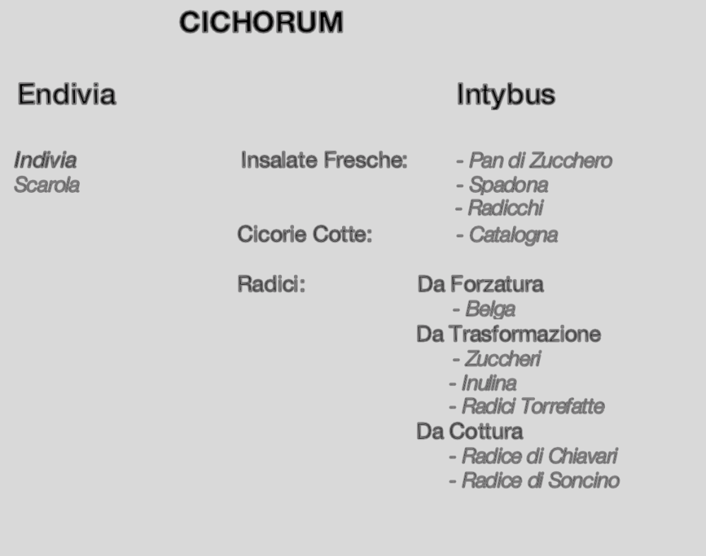 Schermata 2019-09-22 alle 13.15.59