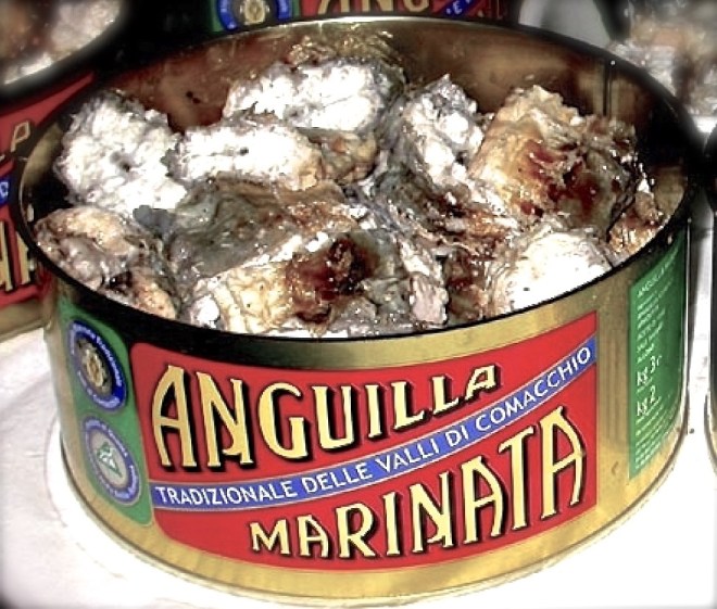 anguilla-marinata