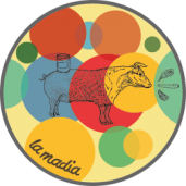 logo-madia-e1533302662571