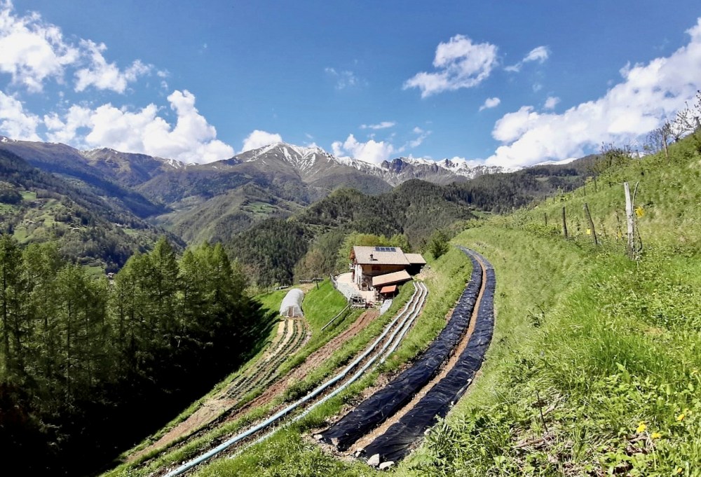 82525921_1516718995172195_3288974496580501504_o