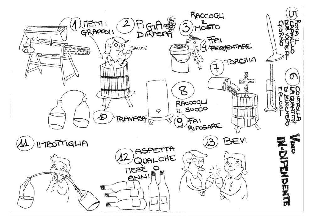 vino-naturale-processo-lavorazione-2019