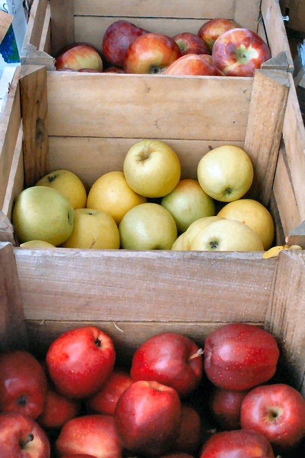 farmers-market-1514974